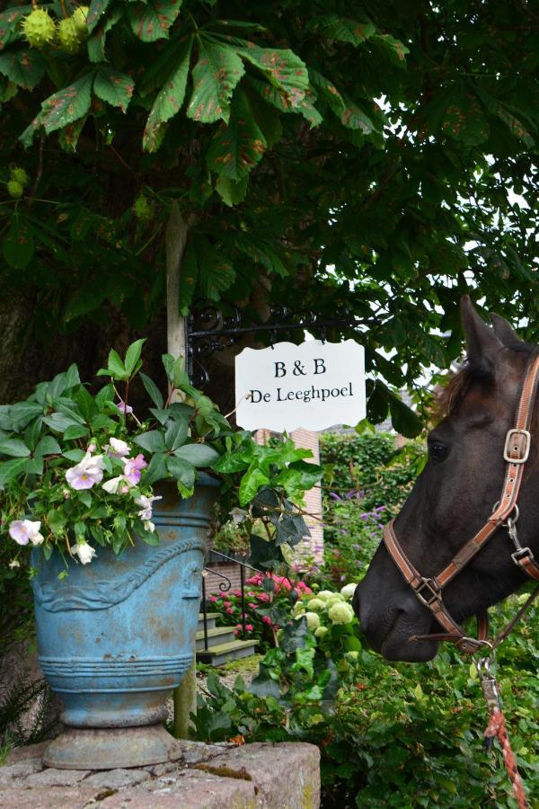 B&B De Leeghpoel Rumpt Exteriér fotografie
